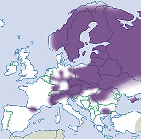 Napakotilon levinneisyys Euroopassa