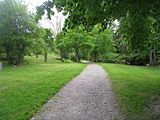 Slottsparken med sitt arboretum.