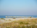 Birds resting on pier