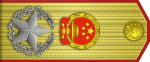 中华人民共和国大元帅肩章样式深受苏联大元帅肩章影响。