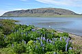 Ingólfsfjall and Álftavatn