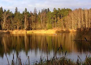 Lappkärret på Norra Djurgården.