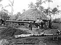 United States Marines and a naval gun in Upolu, 1899.