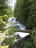 Snoqualmie River flowing through a heavily wooded area