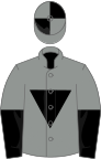 Grey, black inverted triangle, halved sleeves, quartered cap