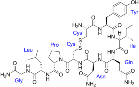 Image illustrative de l’article Ocytocine