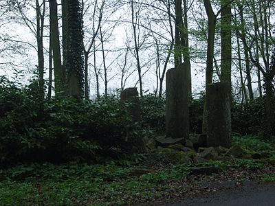 Vestiges de l'abbaye en 2009.