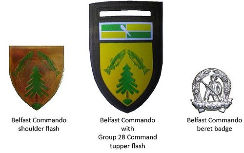 SADF era Belfast Commando insignia