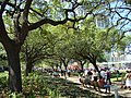 The Brown Foundation Promenade