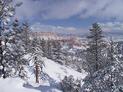 Winter storm at Bryce Canyon National Park, by the National Park Service