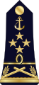 Vice-amiral d'escadre (Madagascar Navy)[8]