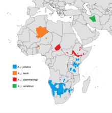 Map showing the distribution of the cheetah in 2015