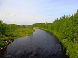 Bönälven fotograferad från vägen mot Storsaivis, juli 2016.