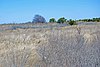 Dunes at Heckscher State Park