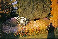 An image of a floral display in Horley, Oxfordshire during 2001.