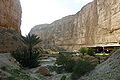 Lit de l'oued au milieu des gorges.