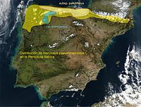Distribución na península ibérica.