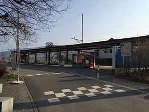 Canopy-covered platform