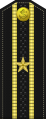 3-nji derejeli kapitan (Turkmen Naval Forces)[7]