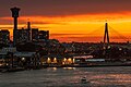 Anzac Bridge from Rozelle