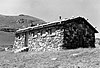 Timberline Cabin