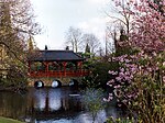 Japanska trädgården