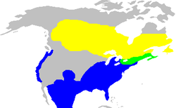 Amarelo: reprodução Verde: durante todo o ano Azul: apenas no Inverno