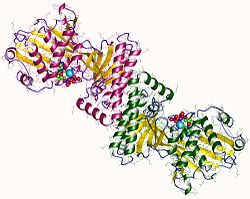 Mevalonatkinase