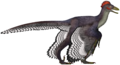 Anchiornis