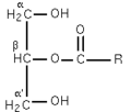 Fig 1 : β-monoglycéride.