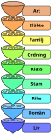 Systematik (biologi)