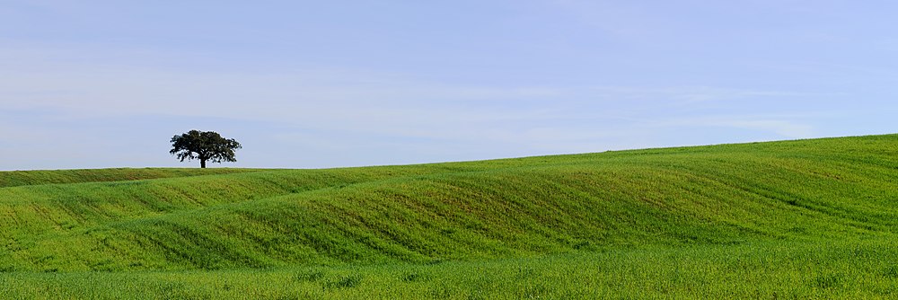 Alentejo