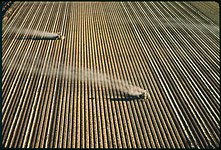 Fertilizing the Imperial Valley, CA, 1972, Charles O'Rear