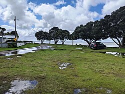 The reserve at Grahams Beach