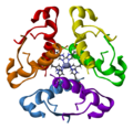 Six molecules of insulin arranged in a hexamer