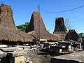 The traditional village of Tarung near Waikabubak (picture taken in 2008)