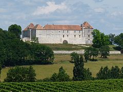 Le château de Théobon, vu du bourg.