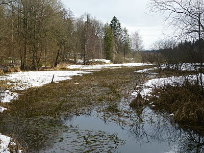 Magelungsdiket norrut från Snösätravägen.