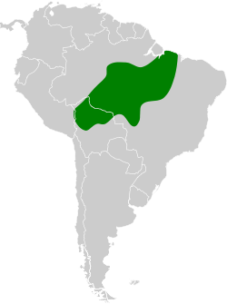 Distribución geográfica del buco estriado.