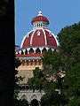 Palácio de Monserrate, Araucaria