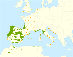 Distribución del pino rodeno en Europa.