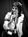 Image 49Singer Rod Stewart performing in 1976. He was one of the major British soft rock artists of the 1970s (from 1970s in music)
