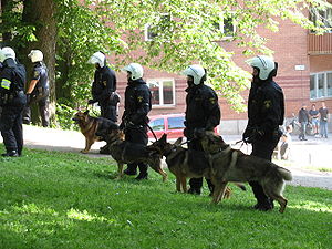 Swedish police dogs, 2007