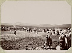 la Tribu des Béni-Ouragh rassemblée avec les Béni-Hilal lors d'une fantasia à Ammi Moussa[6] en 1896, par ANOM Archives, 1895-1896.