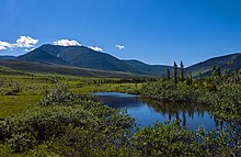 Tundra landscape and a pond near the confluence of Wolf Creek and Firth River, with mountains in the background, in Ivvavik National Park