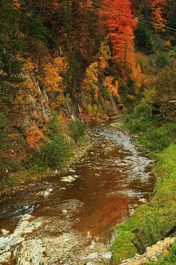 Рыбница осенью