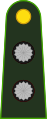 Teniente (Argentine Army)[8]