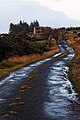 Image 12A back road in Co. Mayo