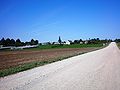 The road to Šlapaberžė through Berželė