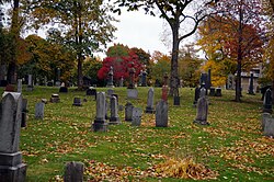 Tombstones in autumn in a cemetery